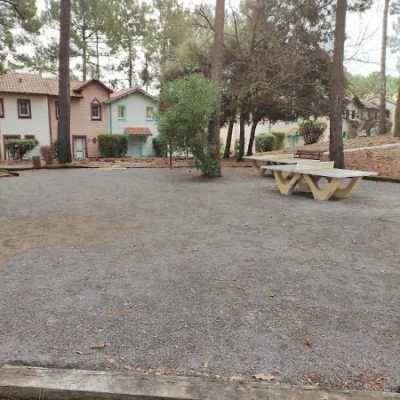 Un Nid Dans La Pinede