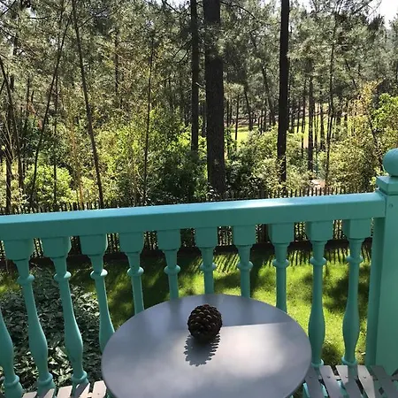 Holiday home Un Nid Dans La Pinede