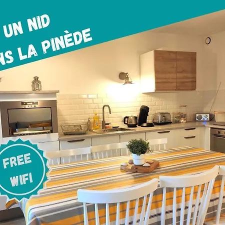 Un Nid Dans La Pinede