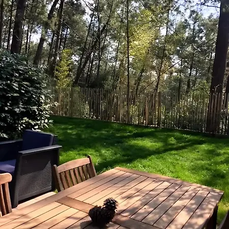 Holiday home Un Nid Dans La Pinede Lacanau