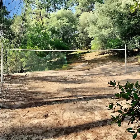 Holiday home Un Nid Dans La Pinede