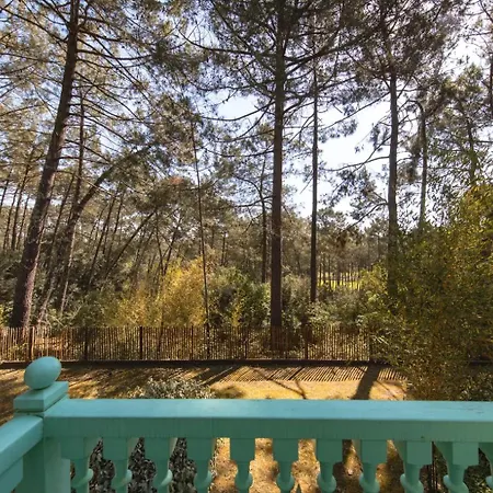 Casa vacanze Un Nid Dans La Pinède
